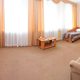 Студио 2-местный 1-комнатный (корпус 1) «Нарзан» санаторий